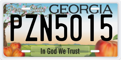 GA license plate PZN5015