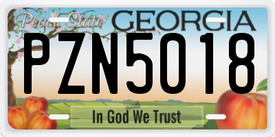 GA license plate PZN5018