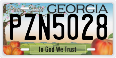 GA license plate PZN5028