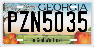 GA license plate PZN5035