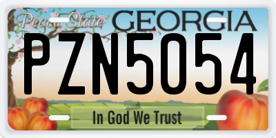 GA license plate PZN5054