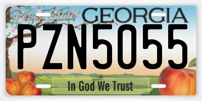 GA license plate PZN5055