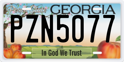 GA license plate PZN5077