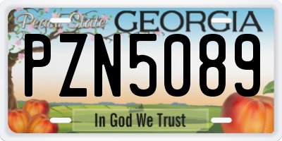 GA license plate PZN5089