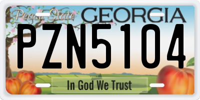 GA license plate PZN5104