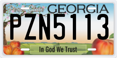GA license plate PZN5113