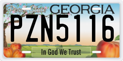 GA license plate PZN5116