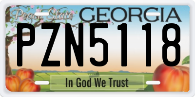 GA license plate PZN5118