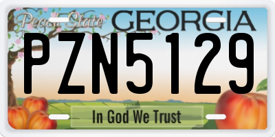 GA license plate PZN5129