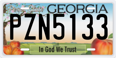 GA license plate PZN5133