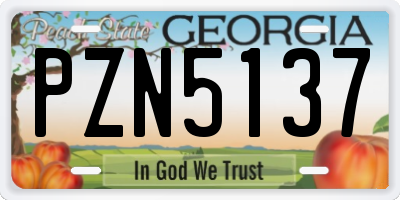GA license plate PZN5137