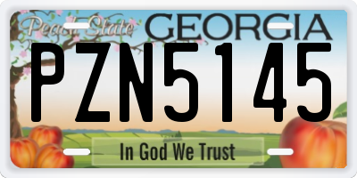 GA license plate PZN5145
