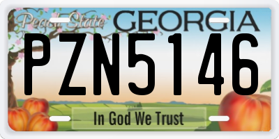 GA license plate PZN5146