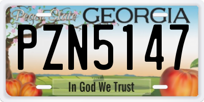 GA license plate PZN5147