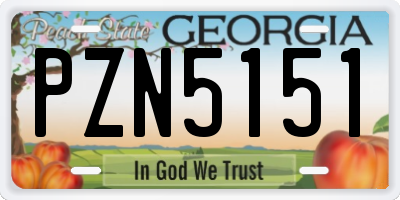 GA license plate PZN5151