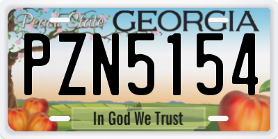 GA license plate PZN5154
