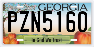 GA license plate PZN5160