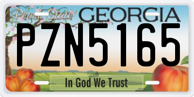 GA license plate PZN5165