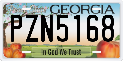 GA license plate PZN5168
