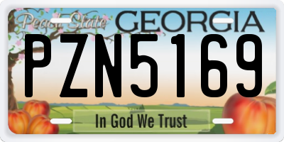 GA license plate PZN5169