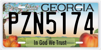 GA license plate PZN5174