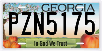 GA license plate PZN5175