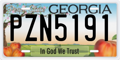 GA license plate PZN5191