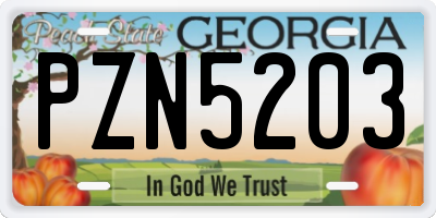 GA license plate PZN5203