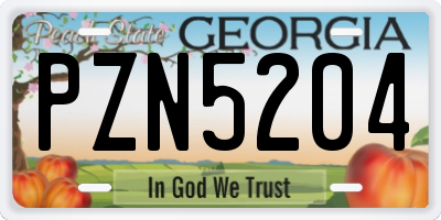 GA license plate PZN5204