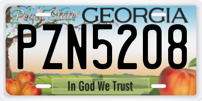 GA license plate PZN5208