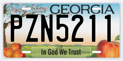 GA license plate PZN5211