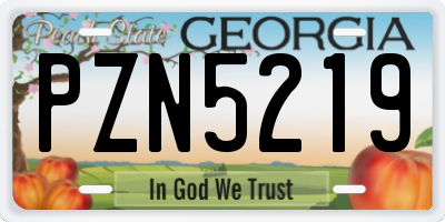 GA license plate PZN5219