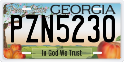 GA license plate PZN5230