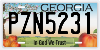 GA license plate PZN5231