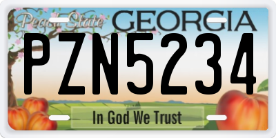 GA license plate PZN5234