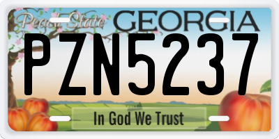 GA license plate PZN5237