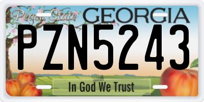 GA license plate PZN5243