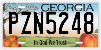 GA license plate PZN5248