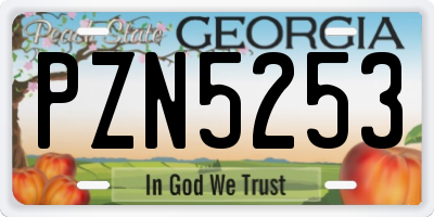 GA license plate PZN5253
