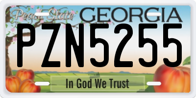 GA license plate PZN5255
