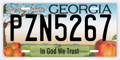 GA license plate PZN5267