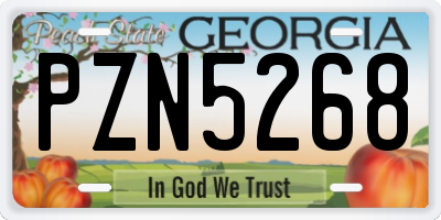 GA license plate PZN5268