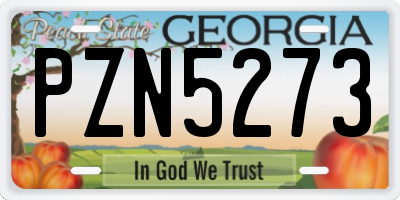 GA license plate PZN5273
