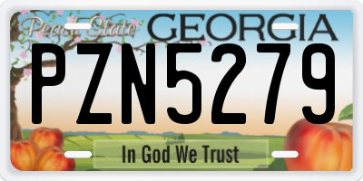 GA license plate PZN5279