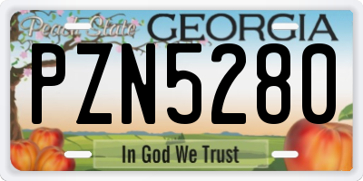GA license plate PZN5280