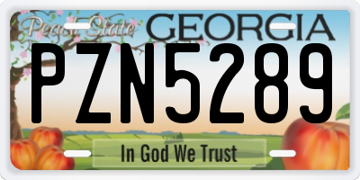 GA license plate PZN5289