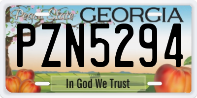 GA license plate PZN5294