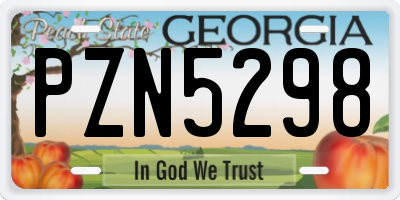 GA license plate PZN5298