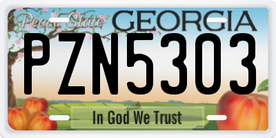 GA license plate PZN5303