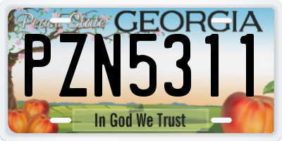 GA license plate PZN5311